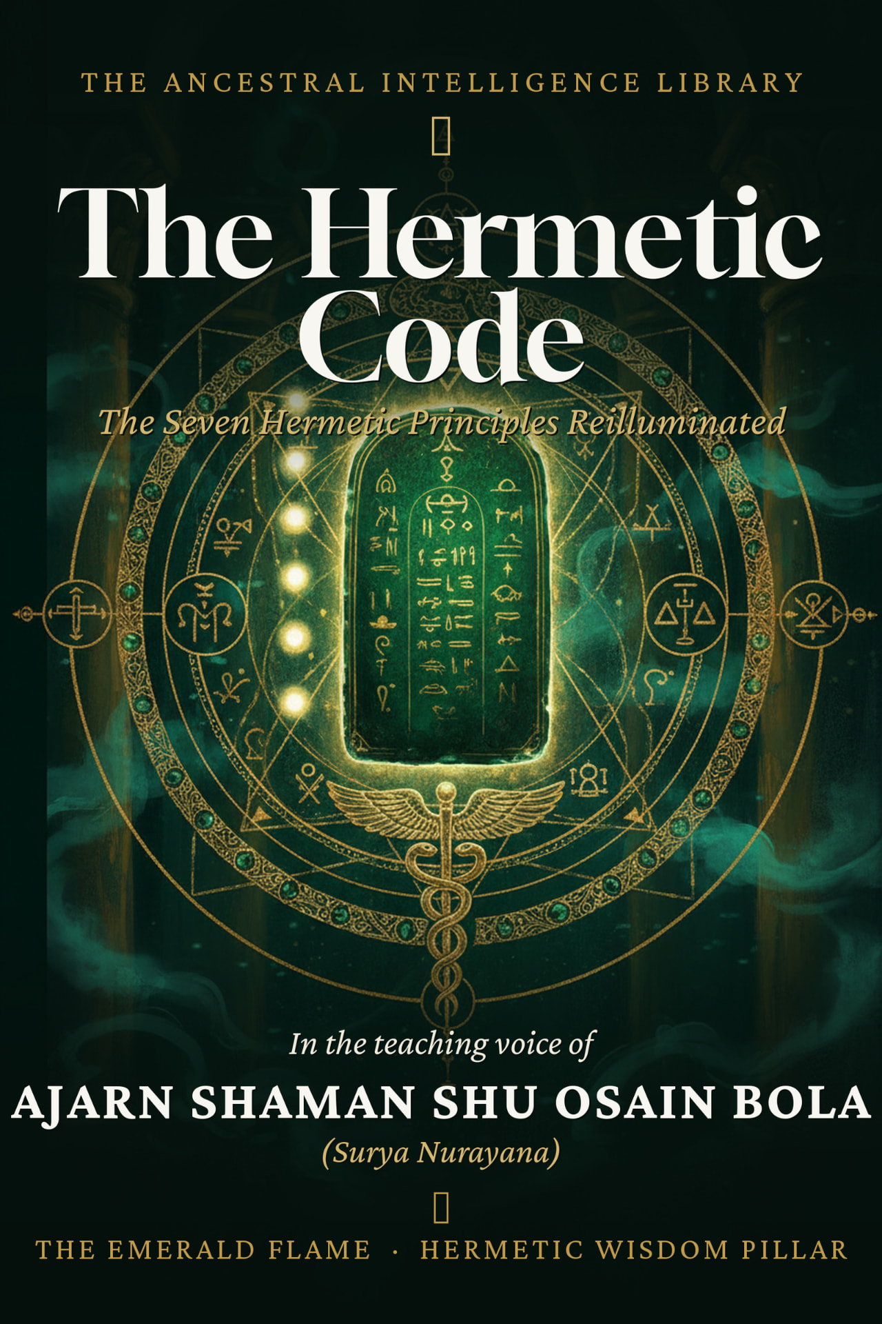 Cover of The Hermetic Code